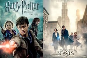 fantastic beasts and harry potter